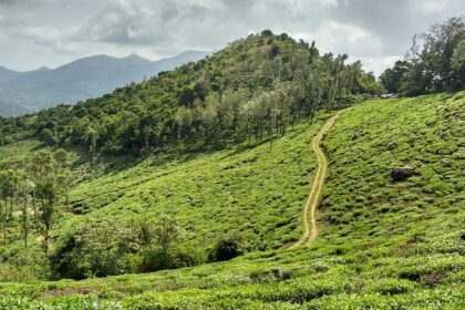 Wayanad, with picturesque surroundings, is a tranquil city in the suburbs of Kerala