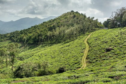 Wayanad is one of the most beautiful and popular hill stations located in South India.