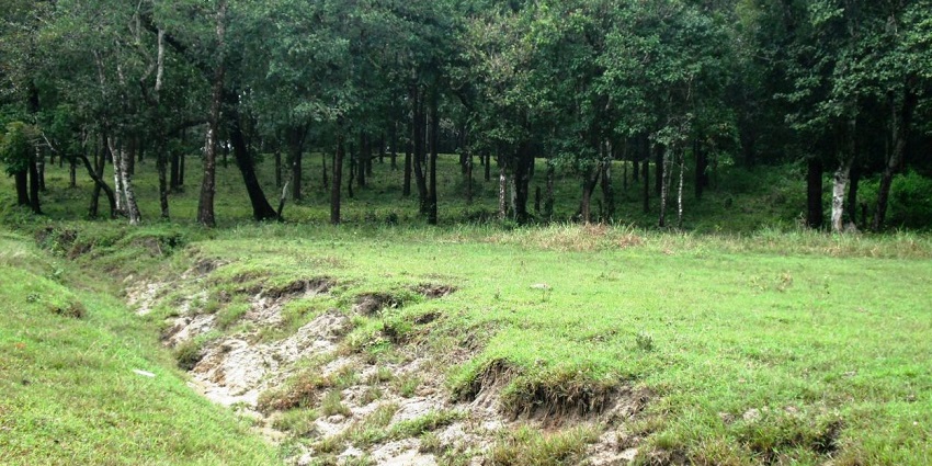 This sanctuary is a popular tourist site , known for its rich inclusion of fauna species.