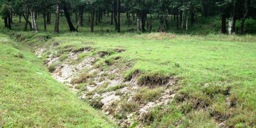 This sanctuary is a popular tourist site , with rich fauna species, near Chethalayam Waterfalls.