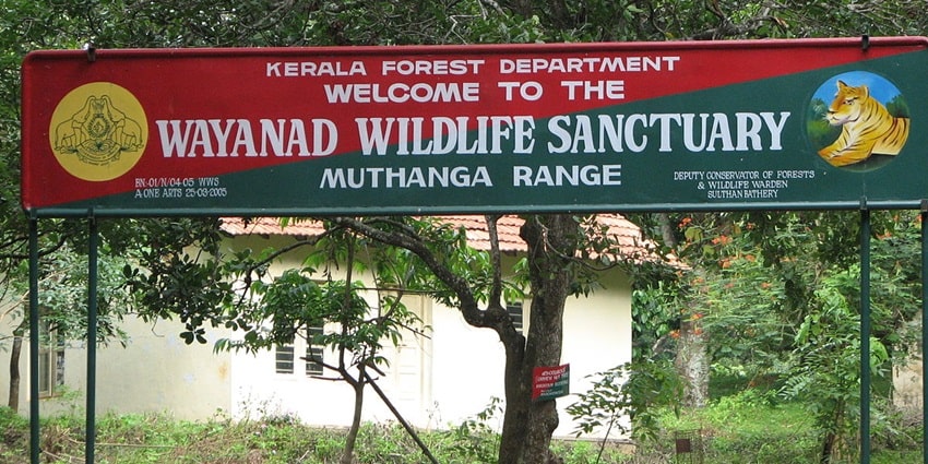 Entrance to the Wayanad wildlife sanctuary: a haven for all wildlife enthusiasts