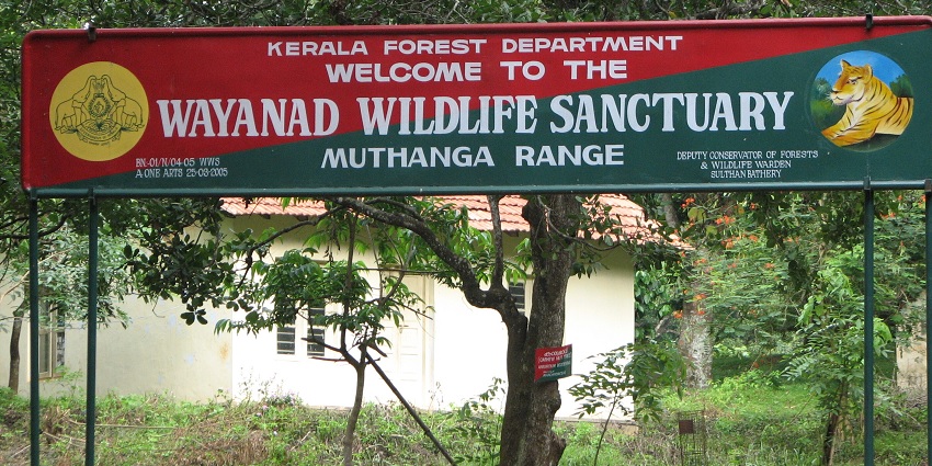 Wildlife in Wayanad Wildlife Sanctuary - places to visit near Wayanad adventure Parks.