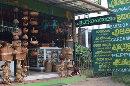 Wayanad market renders evergreen shops for everyday things and especially souvenirs.