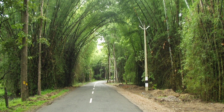 Surrounded by hills and beautiful bamboo forests, Wayanad is a soothing treat to the soul.