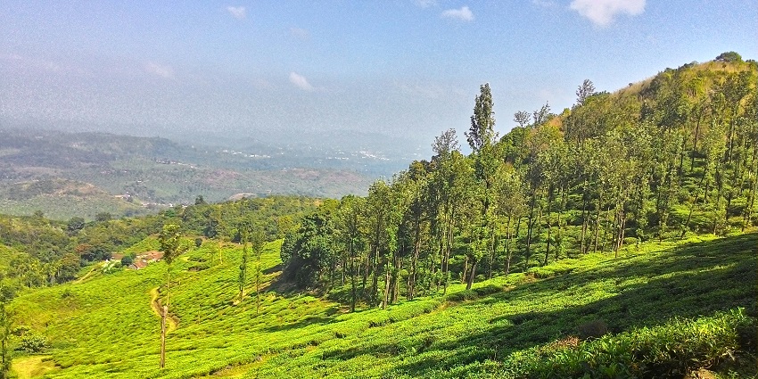Indulge in trekking and have an adventurous time in the lush green landscapes of Kerala.
