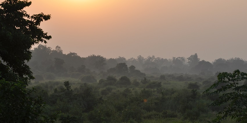 A stunning sunset view of Jim Corbett National Park surrounded by lush green trees.