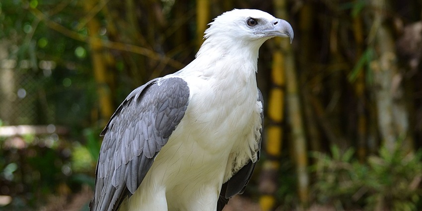 Spot the exotic wildlife at this island and capture them in your camera rolls.