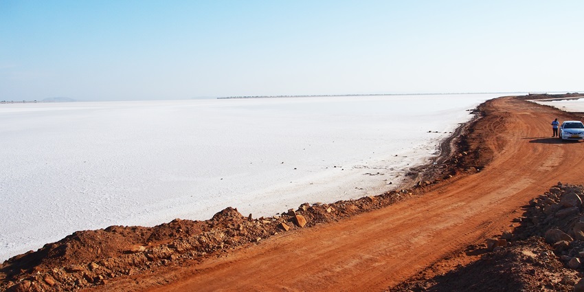 Explore the salt desert at Rann of Kutch and enjoy the ruins of the Indus Valley Civilisation