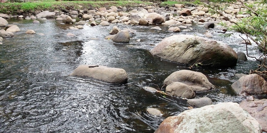 Into the wild - Picturesque views of the thrilling Chinnar sanctuary and forest area
