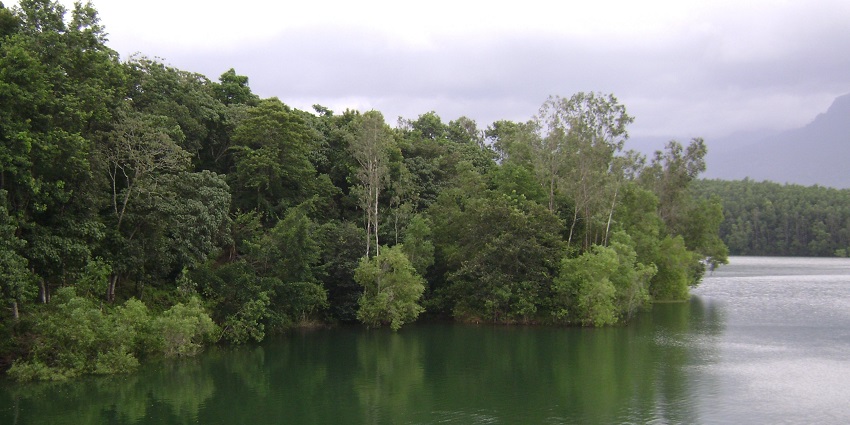 Scenic views of Peppara Wildlife Sanctuary with lush greenery and wildlife habitats.