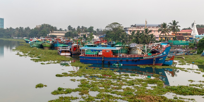 A luxury island in Kochi