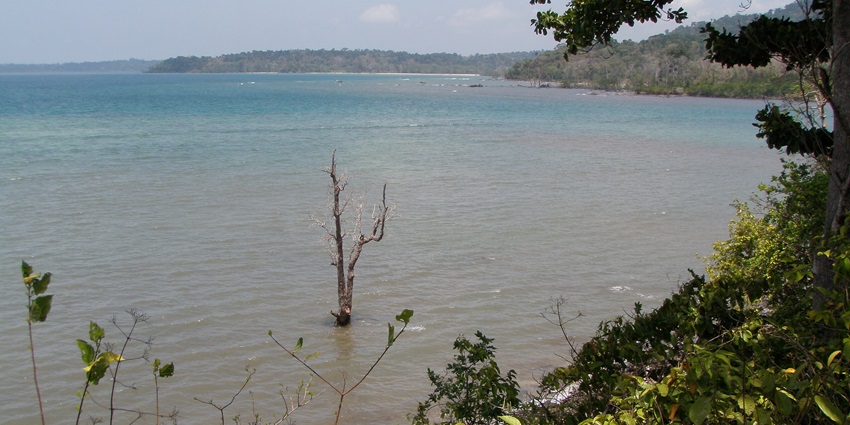 Chidiya Tapu is one of the best places to visit for every traveller during their trip.