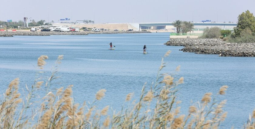 Things to do in Yas Island: destination with theme parks, luxury hotels, & entertainment