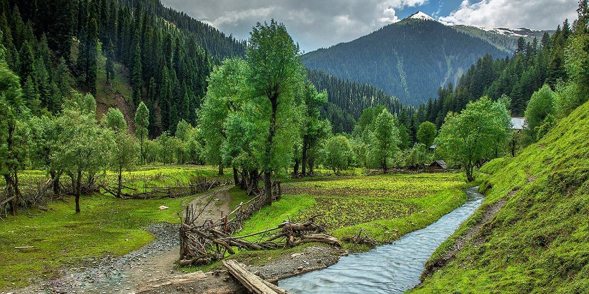 Yusmarg is one of the top places in Kashmir to visit in March with its stunning meadows
