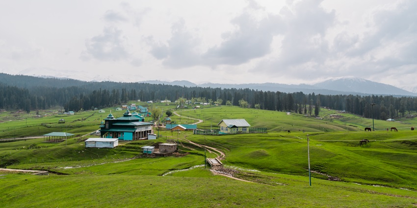 A picture of a vast valley in Kashmir with a cover of lush greenery all around