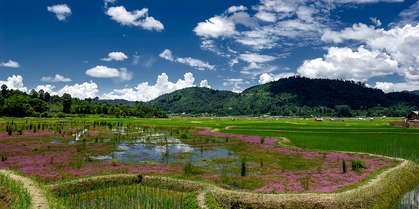 Ziro Valley in Arunachal Pradesh is one of the top places to visit in October in India.