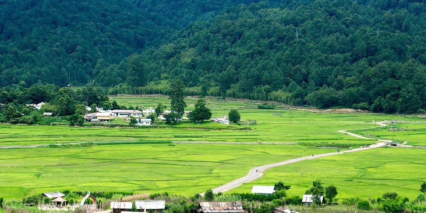 A section of beautiful Ziro Valley, featuring lush green landscapes and terraced fields.