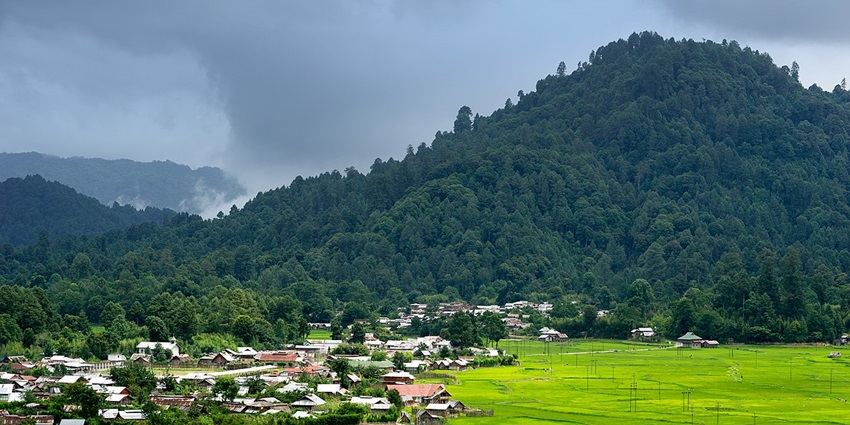 A scenic panoramic view of the lush green landscapes in Ziro, Arunachal Pradesh.