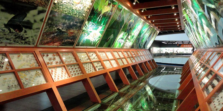 A display of species in a museum with informative plaques on display along with them.