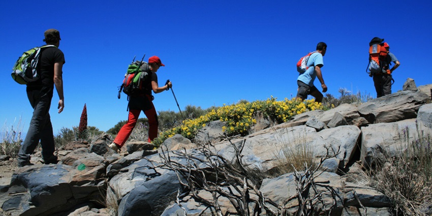 You can go on hikes in this sanctuary and explore the trails at your own pace