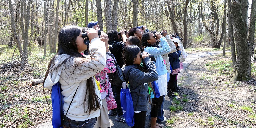 Birdwatching is one of the best activities to enjoy while exploring the attraction.