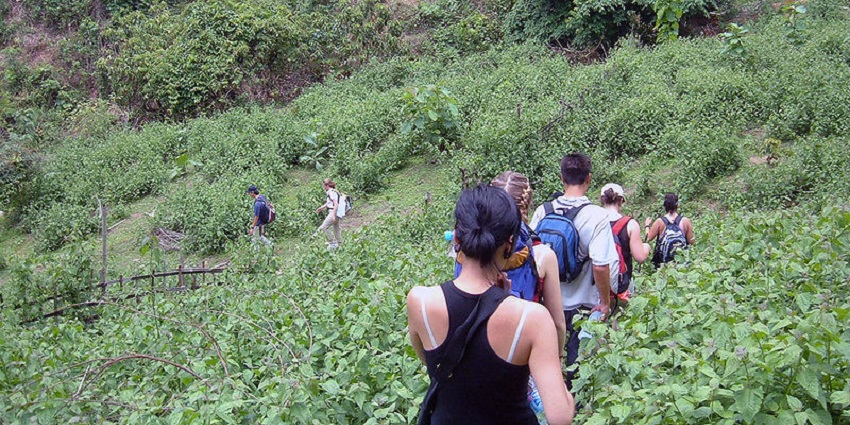 Trekking expedition near Soochipara Waterfalls