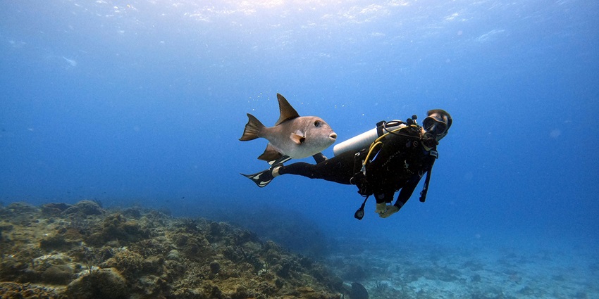 DIVE India makes scuba diving easy and fun with trainers and methods designed for everyone.