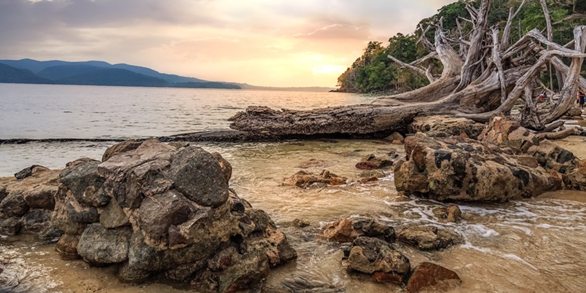 Chidiya Tapu Beach is one of the sun-soaked beaches in Port Blair with mangrove forests