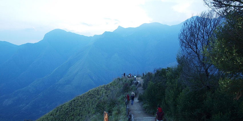 A breathtaking view of the top station in Kerala, one of the best places to visit.