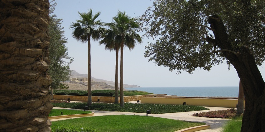 The scenic view from a hotel by the beach, with tall palm trees and a beautiful lawn.