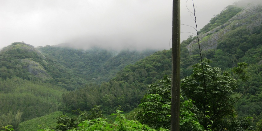 Lush green mountains at the Shenduruny Wildlife Sanctuary