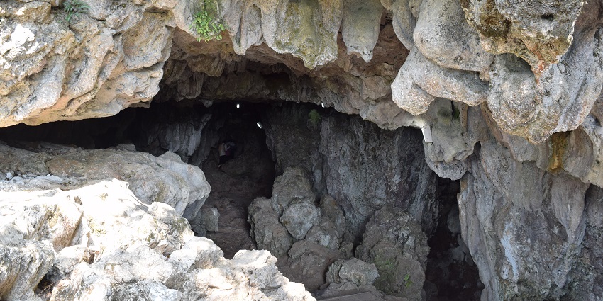 Explore the nature-made majestic caves in Meghalaya, India, near Nokrek National Park.