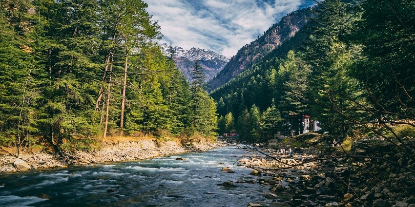 A serene river flows through lush green trees, creating a peaceful natural scene.