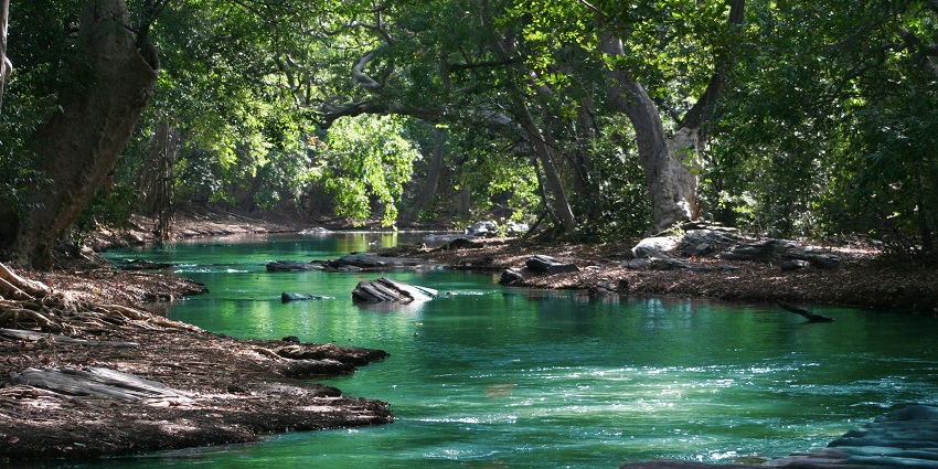 A stream meandering through the lush landscapes, forms such an admirable view