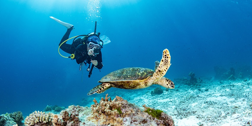 Enjoy scuba diving as part of the activities you can partake in Bangkok on your holiday