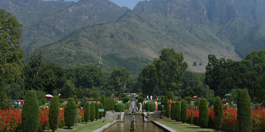 Visit the Mughal Gardens in Kashmir that are resplendent with natural flora and lush greenery