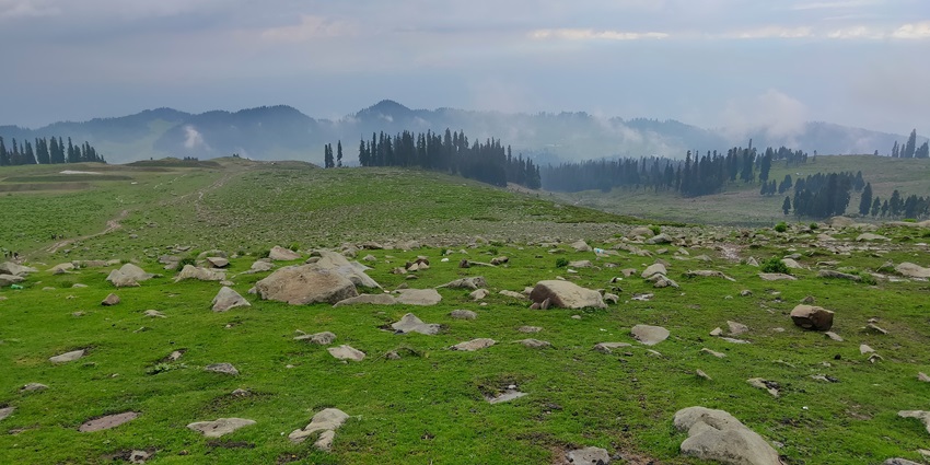 A grassy field with rocks and trees in the background in Gulmarg - one of the best camping spots
