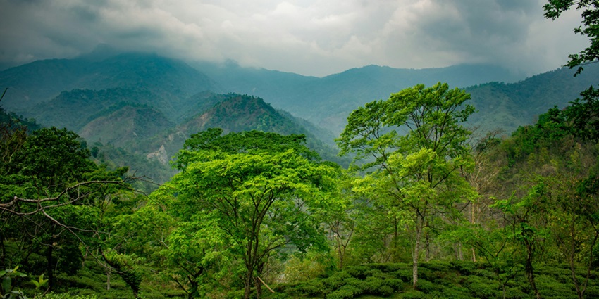 It is recommended to visit Darjeeling during spring or autumn season for a fun experience.