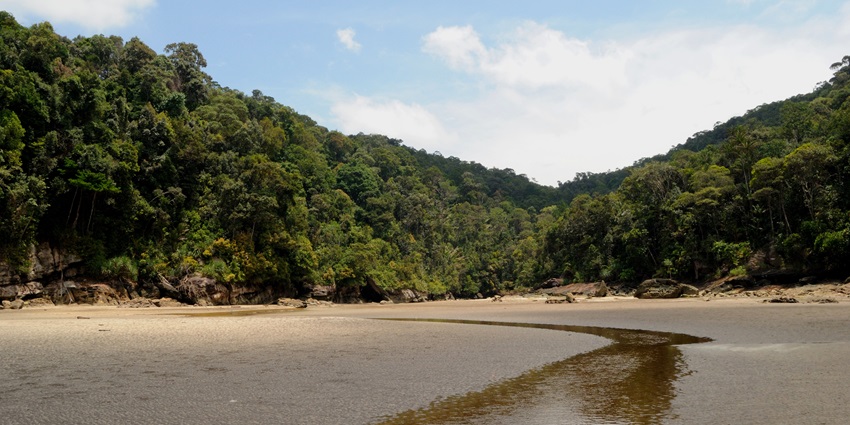This destination is perfect for travellers to get lost in the enchanting wilderness of Malaysia