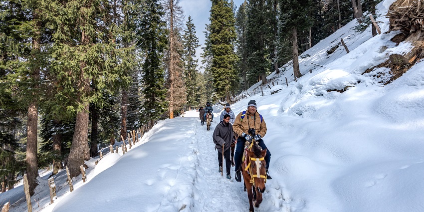 You can get from Pahalgam to Baisaran via a horse ride as it is only 5 kms away
