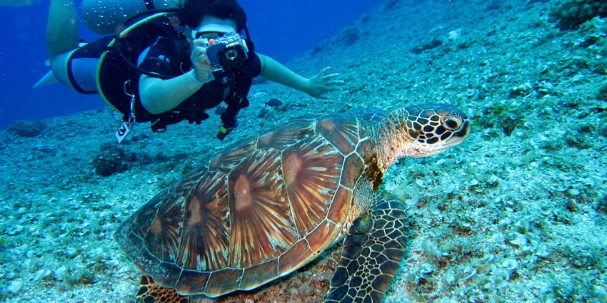 Make sure you check the weather conditions and consult a guide before diving underwater