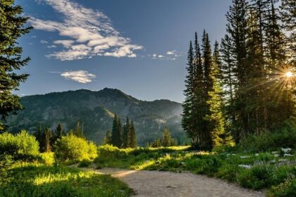 Hohua picnic place offers tourists an ideal getaway from the bustling city life