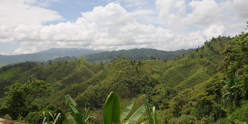 You can visit the Yangoupokpi Lokchao Wildlife Sanctuary during the winter season.