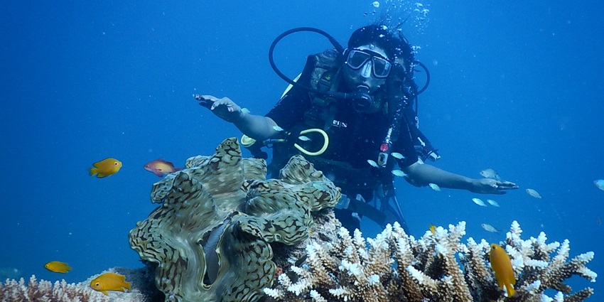 Scuba divers can swim underwater and sight diversity of fishes and coral reefs