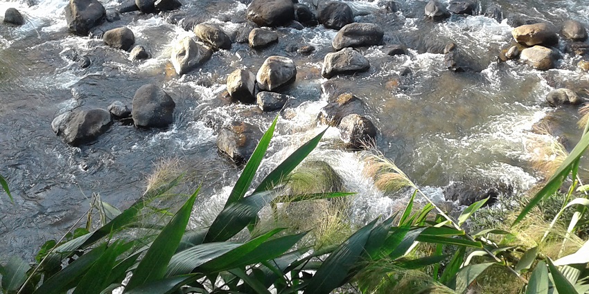This park is more than a usual picnic spot, it houses a rich biodiversity, lakes and waterfalls