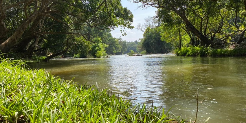 Kuruvadweep Wildlife Sanctuary is one of the most picturesque wildlife sanctuaries in Wayanad