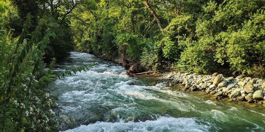 Kiphire is one of the must visit national parks in Nagaland, ideal for an escape into the wild