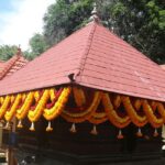 Visit the Pambummekkattu Temple in Kerala which is dedicated to the snake God