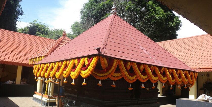 Visit the Pambummekkattu Temple in Kerala which is dedicated to the snake God