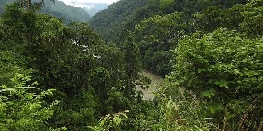 Pakhui is a grеat dеstination to explore the natural bеauty of Arunachal Pradеsh.